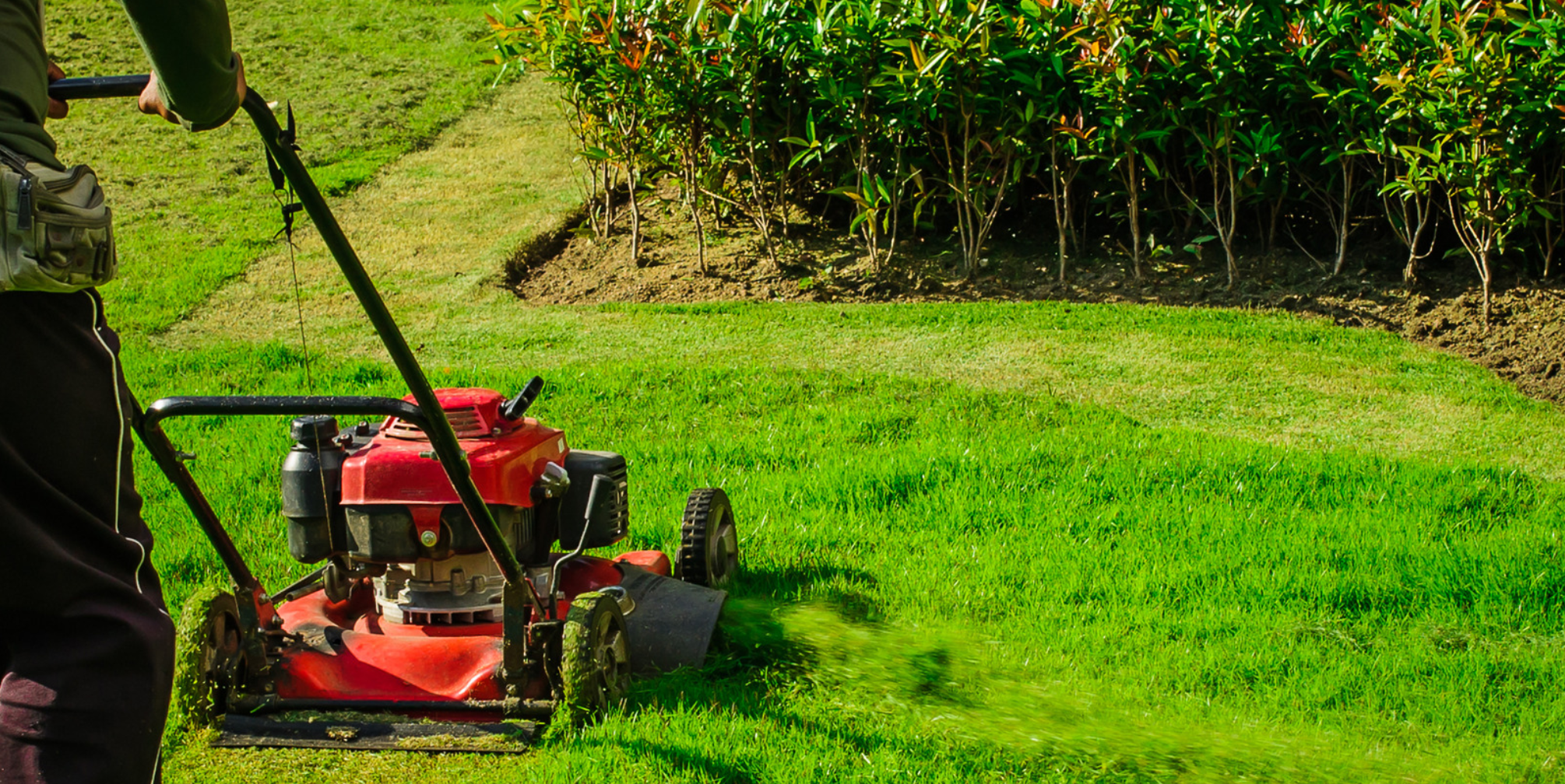 Top Tips for Maintaining a Clean Landscape